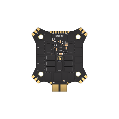 Borg 60 ESC