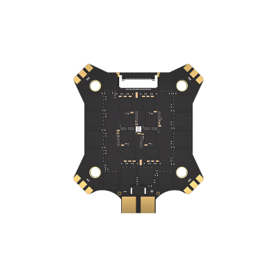 Borg 60 ESC