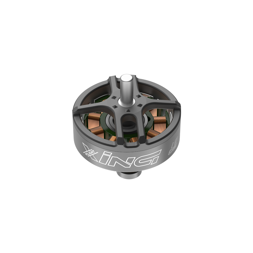 XING 1002 FPV 电机